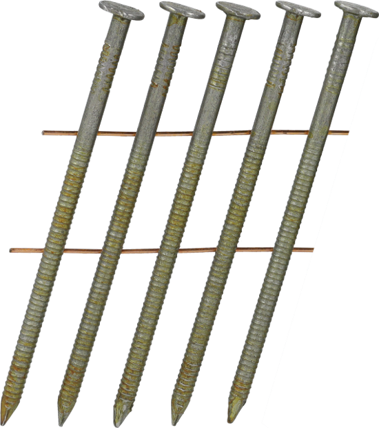 GLxxAPBF-CN-ANGLE_01.psd